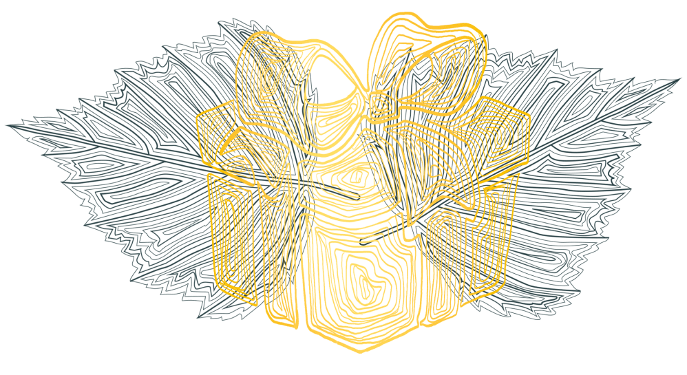 декоративное изображние